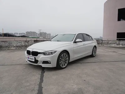 2019 BMW 3 Series 320Li Fashion Type, фото 1, лот 11138943
