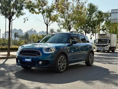 2017 MINI COUNTRYMAN 2.0T COOPER S ALL4 Traveller, фото 1, лот 11586118