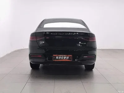 2024 BYD Qin PLUS Glory Edition DM-i 55KM Leading, фото 4, лот 10827999