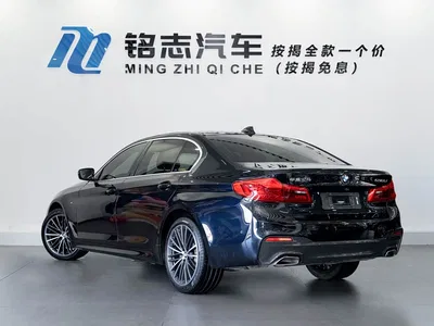 2020 BMW 5 Series 530Li Leading M Sport Package, фото 4, лот 11058618