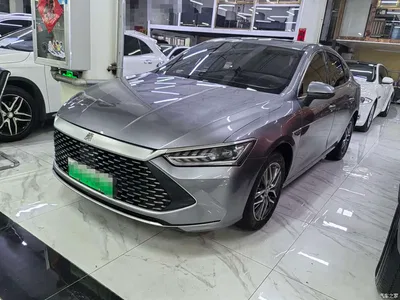 2021 BYD Qin PLUS DM-i 120KM Premium, фото 1, лот 10363677