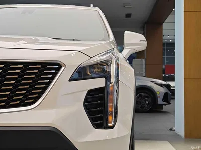 2020 Cadillac XT4 28T 2WD Technology, фото 2, лот 10292316
