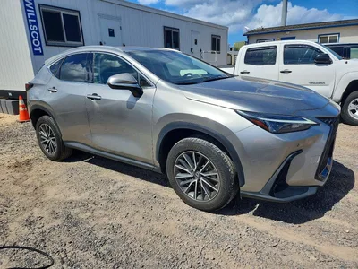 2023 LEXUS NX 250, фото 4, лот 10637869