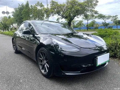 2022 Tesla Model 3 Model Rear-Wheel Drive Version, фото 3, лот 11002797