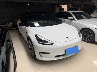 2022 Tesla Model 3 Model Rear-Wheel Drive Version, фото 3, лот 10362109