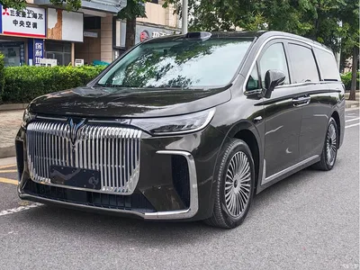 2025 Voyah Auto Voyah Dreamer PHEV AWD Flagship Qian Kun Edition, фото 1, лот 10401473
