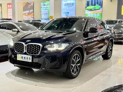 2022 BMW X4 xDrive 25i M Sport Package, фото 2, лот 10238499