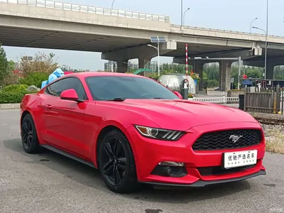 2017 Ford Mustang 2.3T Performance Edition, фото 4, лот 11179184