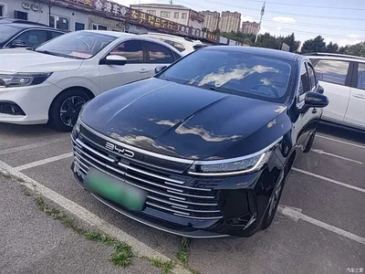 2024 BYD Destroyer 05 Glory Edition DM-i 55KM Luxury, фото 2, лот 10267812