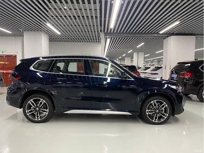 2025 BMW X1 sDrive25Li M Sport Package, фото 4, лот 10816004