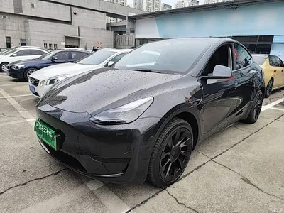2024 Tesla Model Y Rear-Wheel Drive Version, фото 1, лот 10390559