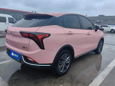 2022 Nezha Auto Nezha V Trend 400 Lite Pink Custom Edition, фото 3, лот 11206377