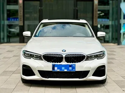 2021 BMW 3 Series 320Li M Sport Package, фото 3, лот 11551450