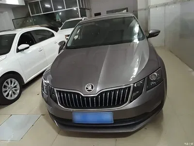 2019 Škoda Octavia 1.5L Automatic Smart Comfort China VI, фото 3, лот 11216577