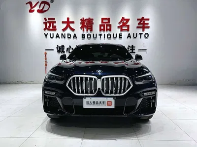 2020 BMW X6 xDrive30i M Sport Package, фото 3, лот 10469203