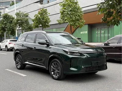 2025 Landian E5 PLUS 165km Long Range First Edition 7-seater, фото 3, лот 11644587