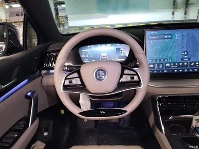 2025 BYD Tang New Energy DM-i 115KM Prestige Type, фото 3, лот 11193839