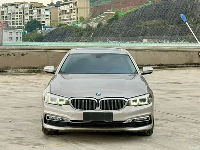 2018 BMW 5 Series 530Li xDrive Luxury Package, фото 3, лот 10445995