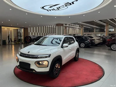 2022 Dongfeng Yipai Nano BOX Wind Chaser Edition 351KM Advanced, фото 1, лот 11592674