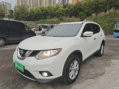 2014 Nissan X-Trail 2.5L CVT Leading Edition 4WD, фото 1, лот 10347233
