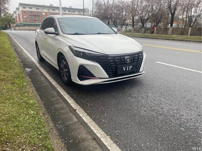 2021 Changan Eado PLUS Blue Whale NE 1.4T GDI DCT Flagship, фото 3, лот 10251474
