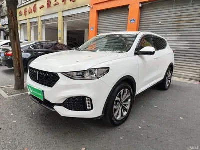 2018 WEY VV6 2.0T 2WD Super Luxury China V, фото 1, лот 10452472