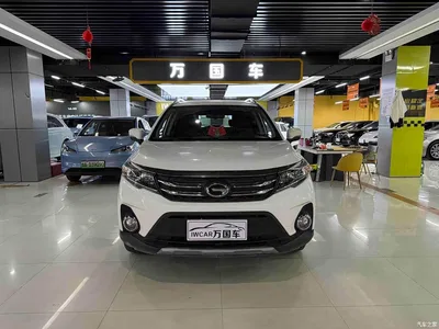 2019 GAC Trumpchi Trumpchi GS3 235T Automatic Elite Edition, фото 1, лот 10414890