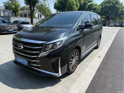 2023 GAC Trumpchi Trumpchi M8 Leading Series 390T Flagship Edition, фото 3, лот 10613047