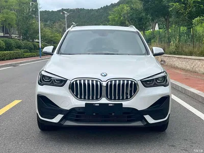 2020 BMW X1 sDrive25Li Leading Model, фото 2, лот 10466584