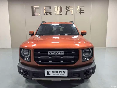 2021 Haval Big Dog 1.5T DCT 2WD Malinois Edition, фото 2, лот 11571616