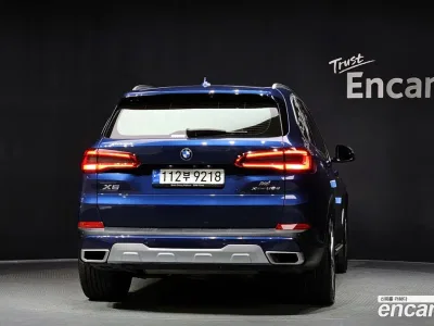 2019 BMW X5 xDrive 30d xLine, фото 3, лот 10079680