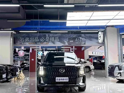 2022 GAC Trumpchi Trumpchi GS8 Hybrid Series 2.0TM 4WD Premium Edition (7-Seater), фото 4, лот 10418552