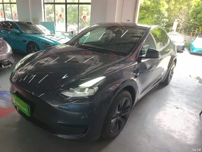 2024 Tesla Model Y Rear-Wheel Drive Version, фото 2, лот 10369703