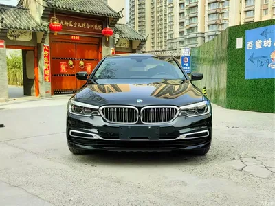 2020 BMW 5 Series 530Li Leading Luxury Package, фото 2, лот 10482638