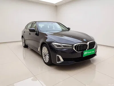 2021 BMW 5 Series New Energy 535Le Luxury Package, фото 3, лот 11188775