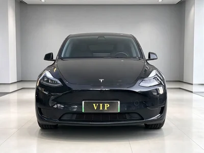 2022 Tesla Model Y Rear-Wheel Drive Version, фото 2, лот 11190352
