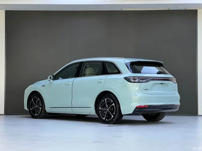2025 Shangjie SUV Model Pure Electric Pro, фото 4, лот 11648321