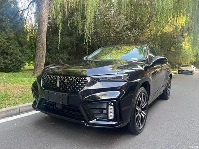 2020 WEY VV7 Model 2.0T Flagship, фото 1, лот 10670824