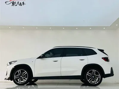 2023 BMW X1 xDrive25Li M Sport Package, фото 4, лот 10466004
