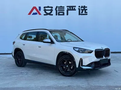 2023 BMW X1 sDrive20Li X Design Package, фото 3, лот 10476202