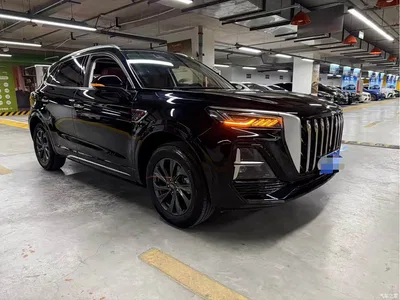 2025 Hongqi HS5 2.0T 2WD 600,000 Units Commemorative Edition, фото 3, лот 10816717