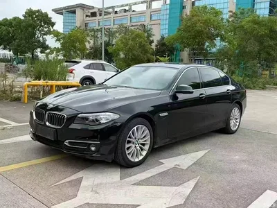 2012 BMW 5 Series 520Li Elegance, фото 1, лот 11249267