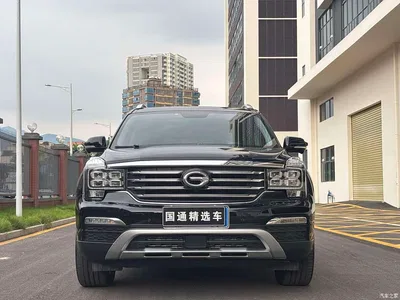 2017 GAC Trumpchi Trumpchi GS8 320T 2WD Luxury Smart Connect (7-seater), фото 2, лот 10416499