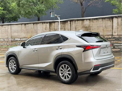 2020 Lexus NX 200 AWD F Sport China VI, фото 4, лот 10312802