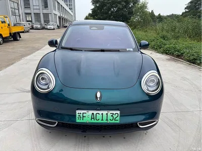 2021 Ora Good Cat 400km Standard Range Venus Edition (LFP), фото 2, лот 11137347