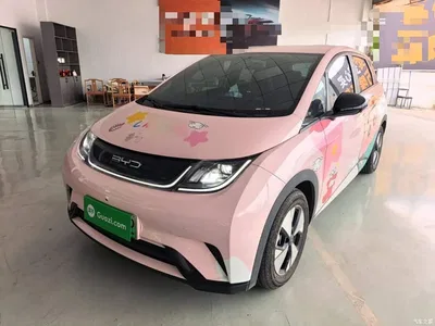 2023 BYD Dolphin 420km Freedom Edition, фото 2, лот 11137770