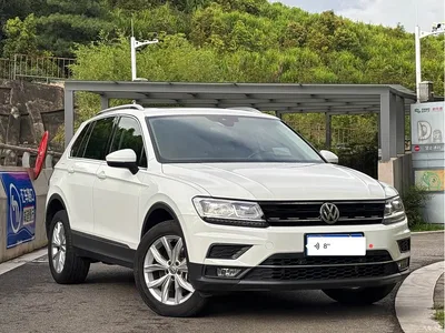 2019 Volkswagen Tiguan 330TSI 4WD Smart Edition, фото 3, лот 10480738