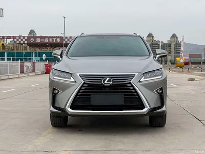 2016 Lexus RX 300 4WD Elegance Edition (China V), фото 2, лот 10319659
