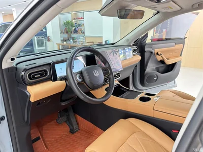 2024 Leapmotor C11 Pure Electric 580 Premium Edition, фото 4, лот 10443947