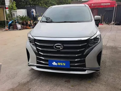 2023 GAC Trumpchi Trumpchi M8 Leading Series 390T Premium Edition, фото 2, лот 10594278